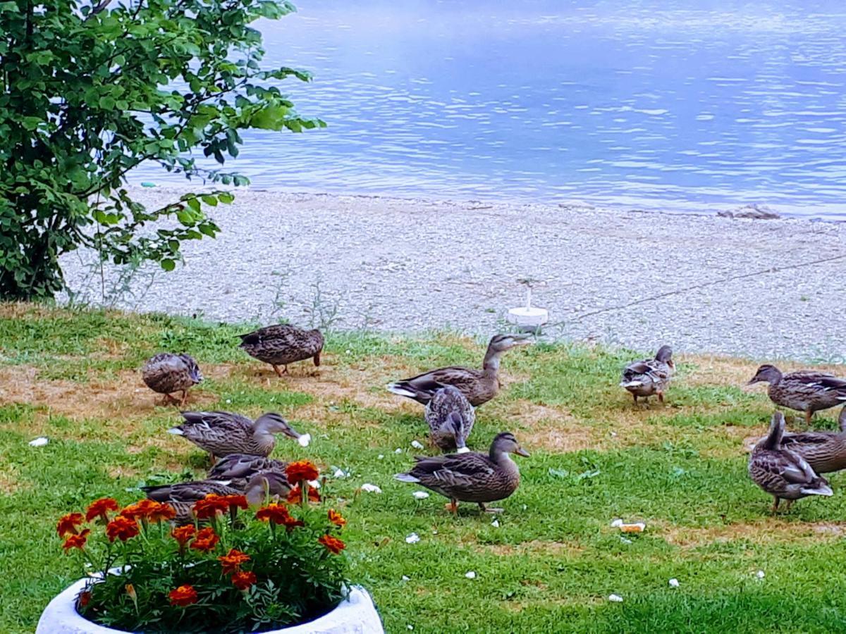 Gradska Plaza Ada Hotel Novi Grad Buitenkant foto